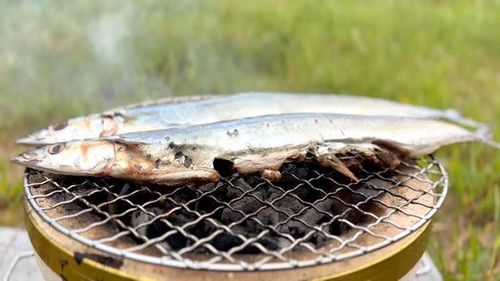 笠置キャンプ場でデイキャンプ。 笠置キャンプ場 ソロキャンプ フリーサイト HOTさんのキャンプブログ CAMPiii（キャンピー） -キャンプ専用SNS キャンプのすべてがここに集まる-