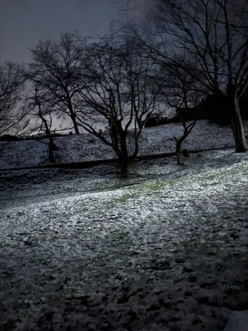 第92話　出雲は美味しい街だった！ 平田森林公園キャンプ場 ソロキャンプ フリーサイト ちろ犬さんのキャンプブログ CAMPiii（キャンピー） -キャンプ専用SNS キャンプのすべてがここに集まる-