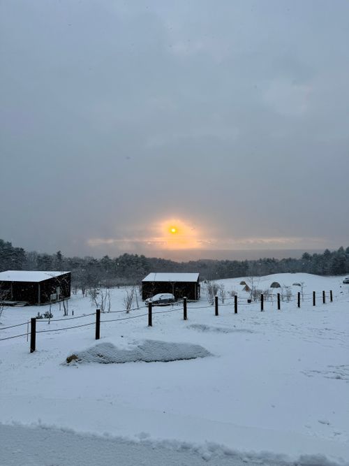 年末は手巻き🍣 IZUMI PEAK BASE （泉ピークベース） ファミリーキャンプ オートサイト 区画サイト トリッディさんのキャンプブログ CAMPiii（キャンピー） -キャンプ専用SNS キャンプのすべてがここに集まる-