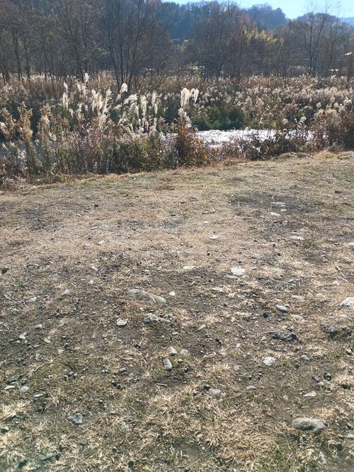 氷点下  軍幕キャンプ 角田大橋河川敷 ソロキャンプ フリーサイト ウエィダーさんのキャンプブログ CAMPiii（キャンピー） -キャンプ専用SNS キャンプのすべてがここに集まる-