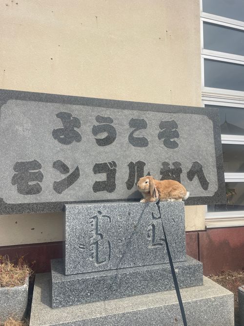 やっぱり悪天候？！おじおばうさキャン△ in 島の小さなキャンプ場toto・ん・トコ 〜 CAMP NO.180 島の小さなキャンプ場 toto・ん・トコ ファミリーキャンプ グループキャンプ フリーサイト おじキャン△さんのキャンプブログ CAMPiii（キャンピー） -キャンプ専用SNS キャンプのすべてがここに集まる-