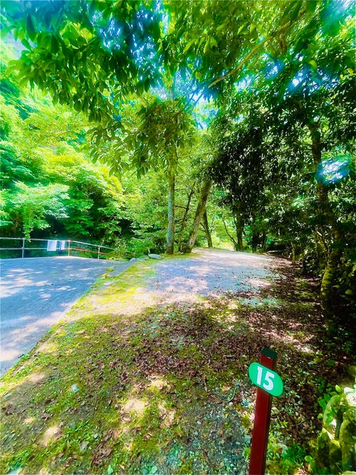 夏だ！川遊びだ！華麗に泳ぐきなこと おじおば🐰キャン△ in 須川家族村オートキャンプ場 〜 CAMP NO.201 須川家族村オートキャンプ場 ファミリーキャンプ グループキャンプ 区画サイト おじキャン△さんのキャンプブログ CAMPiii（キャンピー） -キャンプ専用SNS キャンプのすべてがここに集まる-