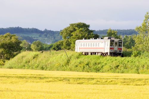 忘れ物だらけキャンプ🏕️ まあぶオートキャンプ場 ファミリーキャンプ オートサイト Train Photographer TAKAさんのキャンプブログ CAMPiii(キャンピー) -キャンプ専用SNS キャンプのすべてがここに集まる-