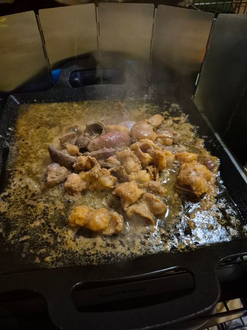 2026年初キャンプ 秋吉台家族旅行村 ファミリーキャンプ 区画サイト オートサイト KSKさんのキャンプブログ CAMPiii（キャンピー） -キャンプ専用SNS キャンプのすべてがここに集まる-