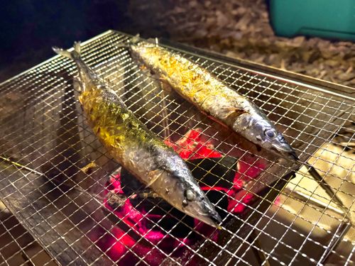 ドッグデプト ファミリーキャンプ グループキャンプ 友希たろうさんのキャンプブログ CAMPiii(キャンピー) -キャンプ専用SNS キャンプのすべてがここに集まる-