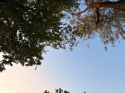 CAMPiii(キャンピー) Tadokoroさん🔰さんのキャンプブログ 夕方開始のソロキャンプ 曽根沼湖岸緑地