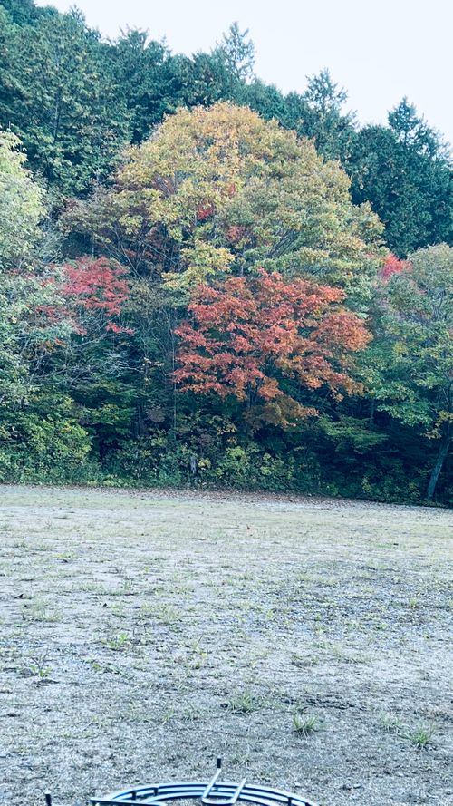 組合キャンプレク ソロキャンプ フリーサイト KABUTOさんのキャンプブログ CAMPiii（キャンピー） -キャンプ専用SNS キャンプのすべてがここに集まる-