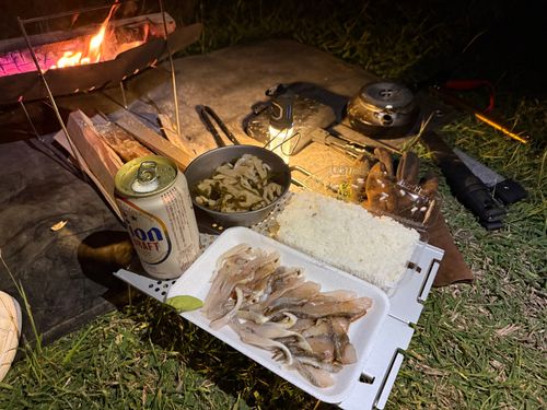 飛行機でキャンプin沖縄 NEOSアウトドアパーク南城 ソロキャンプ 区画サイト ROCKY04さんのキャンプブログ CAMPiii（キャンピー） -キャンプ専用SNS キャンプのすべてがここに集まる-