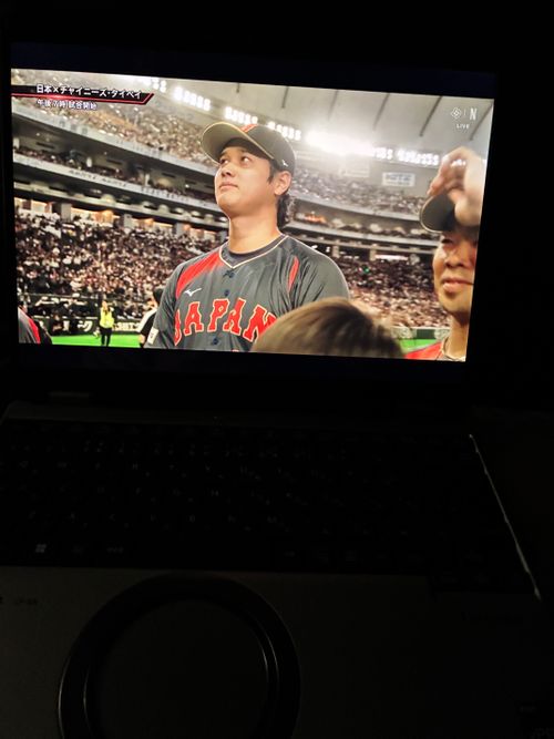 鹿いた！サウナの日、WBC満喫！ PICA富士西湖 ソロキャンプ オートサイト アクセルさんのキャンプブログ CAMPiii（キャンピー） -キャンプ専用SNS キャンプのすべてがここに集まる-