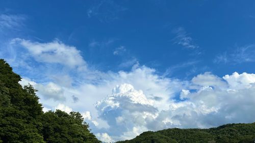 CAMPiii（キャンピー） すずさんのキャンプブログ 僕らの夏休み🌻Part4 キャンプグランド・ベアーベル