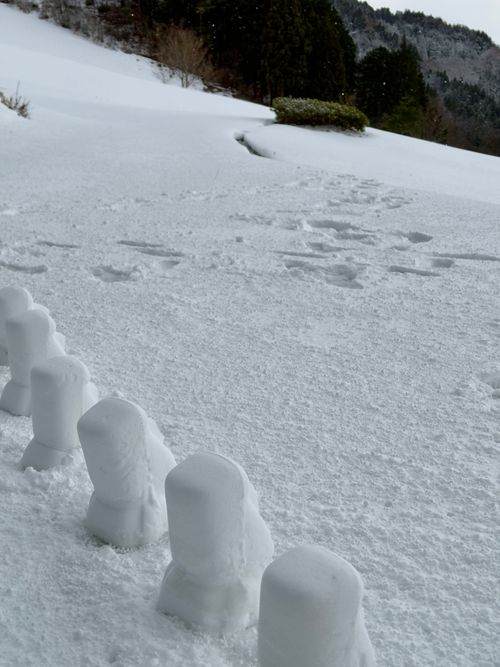 新年雪中デビュー⛄️❄️🌨🏔️@後編 閑乗寺公園 第2キャンプ場 ファミリーキャンプ 区画サイト オートサイト ぐうたら夫婦さんのキャンプブログ CAMPiii（キャンピー） -キャンプ専用SNS キャンプのすべてがここに集まる-