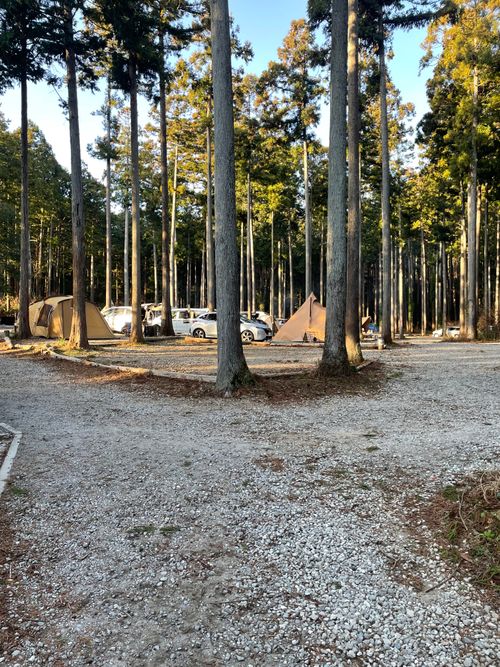 徒歩ソロで行く、いこいの森 RECAMP おだわら 小田原市いこいの森 RECAMP おだわら ソロキャンプ 区画サイト ma9さんのキャンプブログ CAMPiii（キャンピー） -キャンプ専用SNS キャンプのすべてがここに集まる-