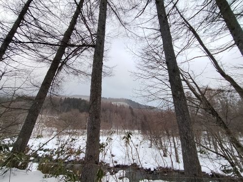 雪中が好きです 飛騨荘川 一色の森キャンプ場 ソロキャンプ グループキャンプ 区画サイト オートサイト たかたかぽんたさんのキャンプブログ CAMPiii（キャンピー） -キャンプ専用SNS キャンプのすべてがここに集まる-