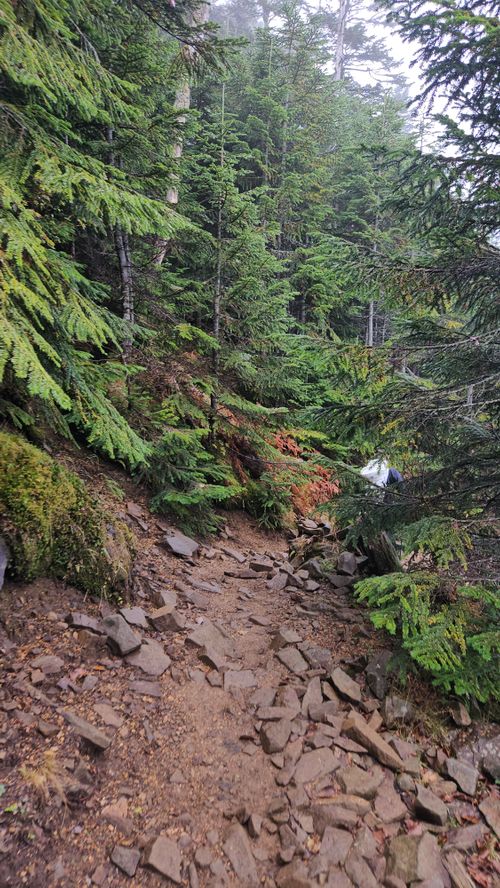 その後 日本 ソロキャンプ グループキャンプ 区画サイト フリーサイト オートサイト IZUIZUさんのキャンプブログ CAMPiii（キャンピー） -キャンプ専用SNS キャンプのすべてがここに集まる-