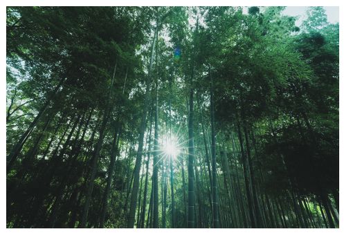 CAMPiii（キャンピー） ENJOY THE OUTDOORSさんのキャンプブログ 全国旅キャンプ第7弾の茨城編3日目 星の里いこいの森キャンプ場