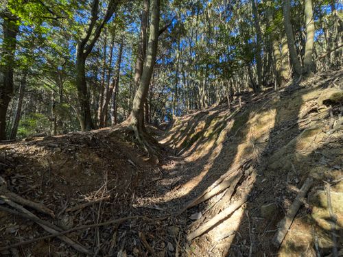 初幕。フォーエバー&hellip; 大阪府 ソロキャンプ フリーサイト ぞのさんさんのキャンプブログ CAMPiii（キャンピー） -キャンプ専用SNS キャンプのすべてがここに集まる-