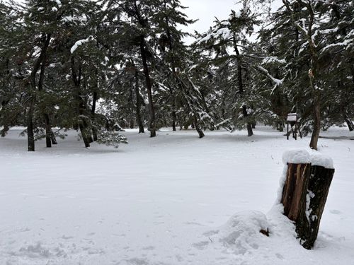 第93話　遠征の旅最終日　思いがけずな雪中キャンプ CAMP VILLAGE 砂育 saiku ソロキャンプ フリーサイト ちろ犬さんのキャンプブログ CAMPiii（キャンピー） -キャンプ専用SNS キャンプのすべてがここに集まる-