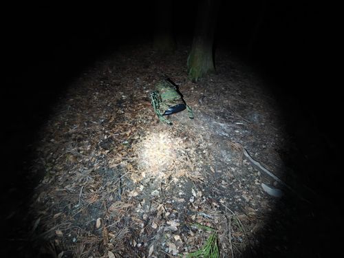 実験キャンプや。 大阪府 ソロキャンプ フリーサイト ぞのさんさんのキャンプブログ CAMPiii（キャンピー） -キャンプ専用SNS キャンプのすべてがここに集まる-