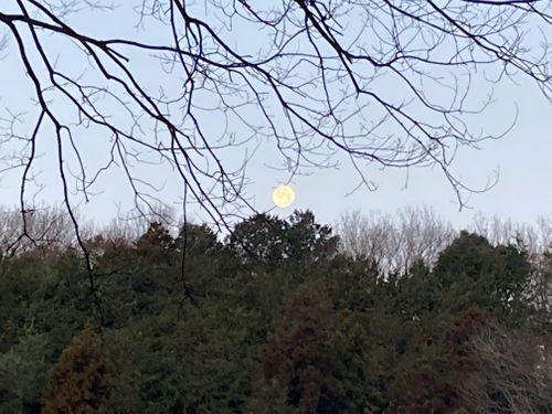 2026年スタート１月キャンプ【2日目】 ニューサンピア埼玉おごせ ソロキャンプ オートサイト boorishcamperさんのキャンプブログ CAMPiii（キャンピー） -キャンプ専用SNS キャンプのすべてがここに集まる-