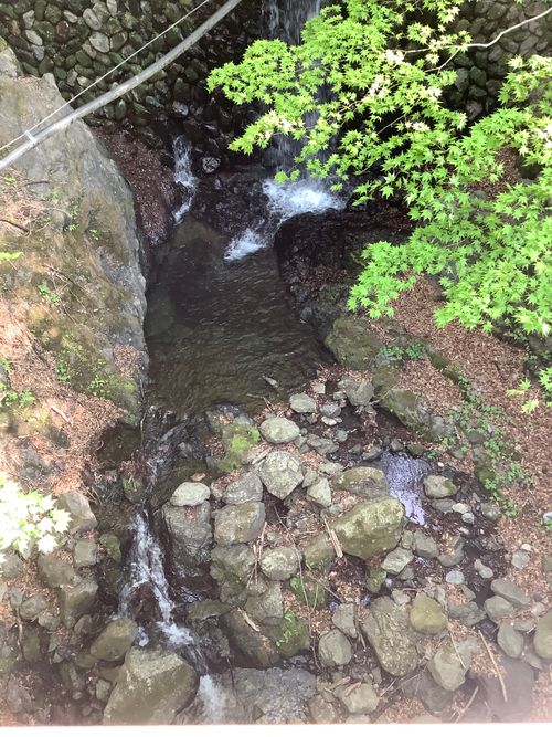 Vol.115 26/NO.05 今年も早速再開初日にお肉焼き焼きに行く‼️ 笛吹小屋キャンプ場 ソロキャンプ 区画サイト 🔥焚き火🔥さんのキャンプブログ CAMPiii（キャンピー） -キャンプ専用SNS キャンプのすべてがここに集まる-