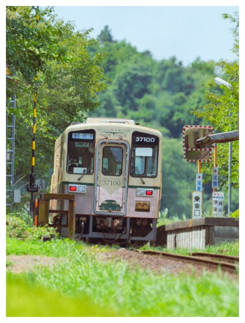 CAMPiii（キャンピー） ENJOY THE OUTDOORSさんのキャンプブログ 全国旅キャンプ第7弾の茨城編２日目 大洗キャンプ場