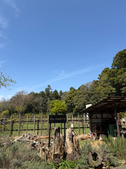 CAMPiii（キャンピー） まっつんさんのキャンプブログ 粉もんキャンプ the country (キャンプ場)