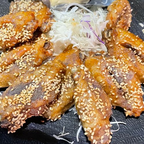 隊長不在の福岡組グルなんて… 野々川グランビューパーク ソロキャンプ グループキャンプ オートサイト フォレキャンさんのキャンプブログ CAMPiii(キャンピー) -キャンプ専用SNS キャンプのすべてがここに集まる-