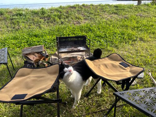 キャンプでメンタルトレーニング💪 はやぷささんのキャンプブログ CAMPiii（キャンピー） -キャンプ専用SNS キャンプのすべてがここに集まる-