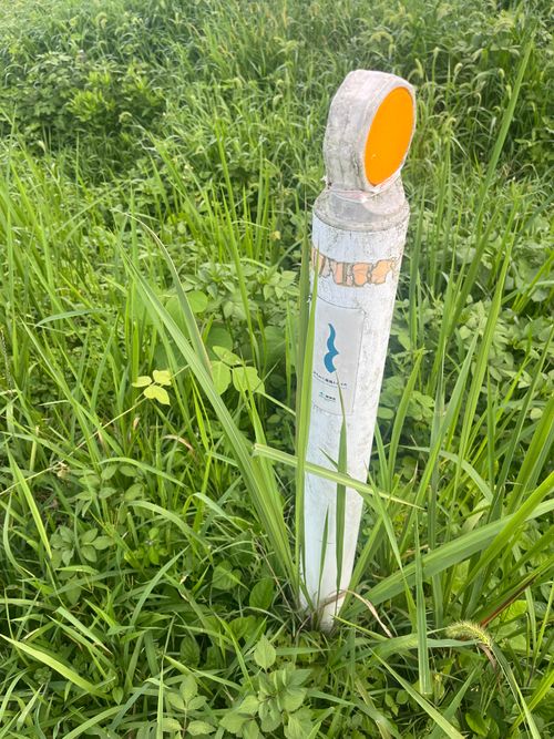 みちのく潮風トレイル 福島 相馬編 貸し切りができる小さなキャンプ場 beeto ソロキャンプ 区画サイト まっつんさんのキャンプブログ CAMPiii(キャンピー) -キャンプ専用SNS キャンプのすべてがここに集まる-
