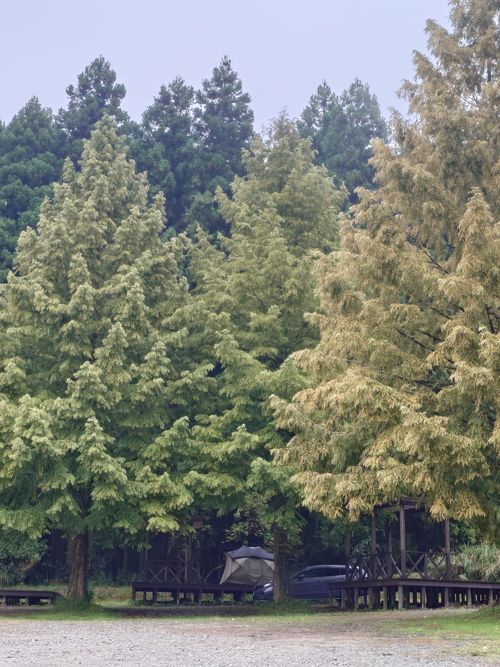 雨のデッキキャンプ 垰tawa～キャンプ場 ソロキャンプ グループキャンプ 区画サイト よっしぃさんのキャンプブログ CAMPiii（キャンピー） -キャンプ専用SNS キャンプのすべてがここに集まる-