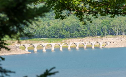 北海道初夏の旅 ENJOY THE OUTDOORSさんのキャンプブログ CAMPiii（キャンピー） -キャンプ専用SNS キャンプのすべてがここに集まる-