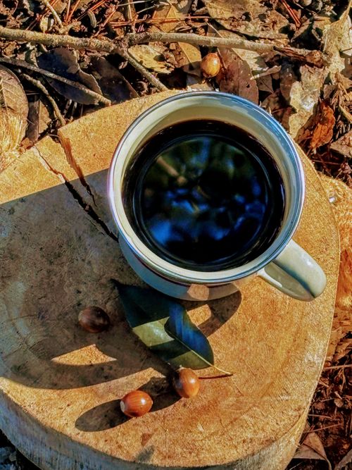 🌲森林サイトで癒される &GREEN龍ケ崎キャンプ場 ソロキャンプ フリーサイト オートサイト ARUGOさんのキャンプブログ CAMPiii(キャンピー) -キャンプ専用SNS キャンプのすべてがここに集まる-