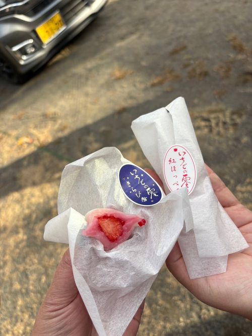 オプチャ女子グルキャンプ🏕下道倶楽部6時間越え。静岡ってでっかいなぁ！ 火剣山キャンプ場 グループキャンプ 区画サイト ぷりんさんのキャンプブログ CAMPiii（キャンピー） -キャンプ専用SNS キャンプのすべてがここに集まる-