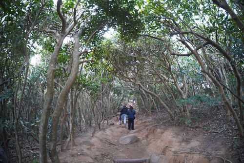 さあ、福岡を楽しむよ〜！！！ uminomori ソロキャンプ オートサイト けんじさんのキャンプブログ CAMPiii（キャンピー） -キャンプ専用SNS キャンプのすべてがここに集まる-