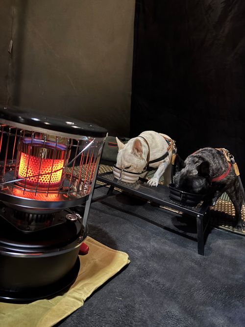 遠征キャンプ MOUNT LAKE ファミリーキャンプ 区画サイト まるとらさんのキャンプブログ CAMPiii（キャンピー） -キャンプ専用SNS キャンプのすべてがここに集まる-