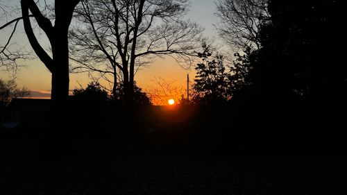 誰にも教えないキャンプ場 ソロキャンプ フリーサイト ちゃむ！さんのキャンプブログ CAMPiii（キャンピー） -キャンプ専用SNS キャンプのすべてがここに集まる-