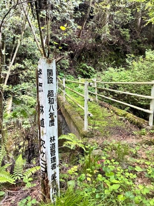 マツケンさん一家との自然いっぱいキャンプ てゆりキャンプ場 グループキャンプ 区画サイト りょっちーさんのキャンプブログ CAMPiii（キャンピー） -キャンプ専用SNS キャンプのすべてがここに集まる-