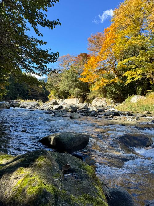 秋空の下、丸いものを食す WOODSMAN CAMPGROUND ファミリーキャンプ 区画サイト オートサイト EJIさんのキャンプブログ CAMPiii（キャンピー） -キャンプ専用SNS キャンプのすべてがここに集まる-