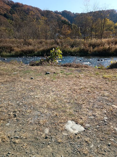 夜勤明けのお籠りキャンプ 角田大橋河川敷 ソロキャンプ フリーサイト ウエィダーさんのキャンプブログ CAMPiii（キャンピー） -キャンプ専用SNS キャンプのすべてがここに集まる-