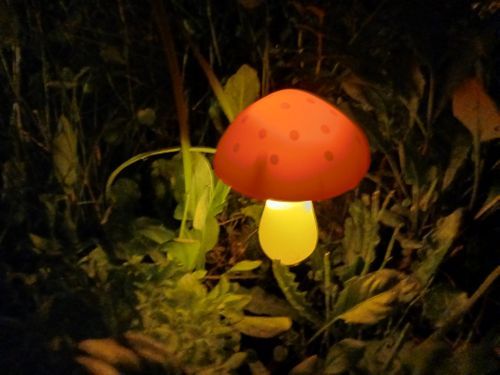 北海道の旨い!を食べるC△mp旅’ 2025(1 of 4) 北海道 ファミリーキャンプ キャンピングカー vios outdoor'sさんのキャンプブログ CAMPiii(キャンピー) -キャンプ専用SNS キャンプのすべてがここに集まる-