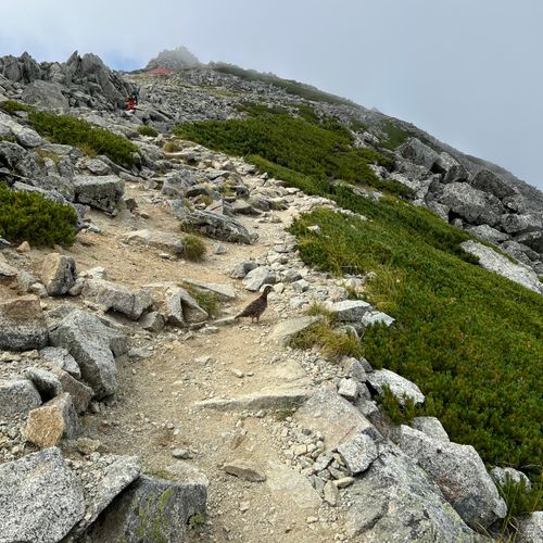 viva立山‼️立山縦走編 雷鳥沢キャンプ場 ソロキャンプ フリーサイト shuさんのキャンプブログ CAMPiii(キャンピー) -キャンプ専用SNS キャンプのすべてがここに集まる-