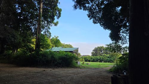 息子とソログル the country (キャンプ場) グループキャンプ 区画サイト ke-nさんのキャンプブログ CAMPiii（キャンピー） -キャンプ専用SNS キャンプのすべてがここに集まる-