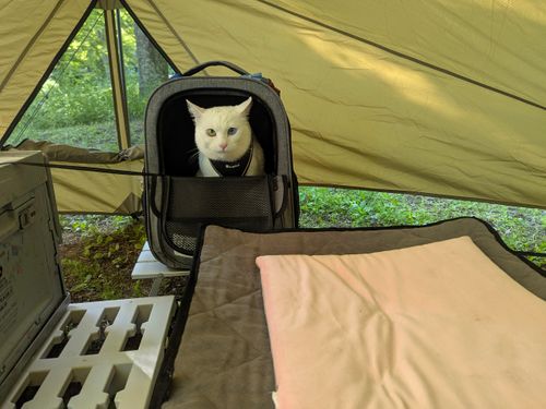 特に何もないんだけど、まったりデュオで猫の写真を撮ってきたよ ANOTHAPLACE ソロキャンプ グループキャンプ オートサイト 区画サイト ちあさんのキャンプブログ CAMPiii（キャンピー） -キャンプ専用SNS キャンプのすべてがここに集まる-