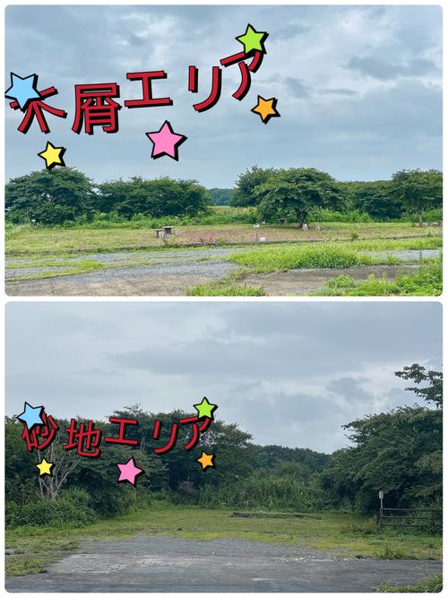 真夏の2泊3日!楽しいプラ活(✧∀✧) …飲んだらまたまた呑まれて さぁ〜大変【1泊目】 クマさんキャンプ場 Oniyomeさんのキャンプブログ CAMPiii(キャンピー) -キャンプ専用SNS キャンプのすべてがここに集まる-