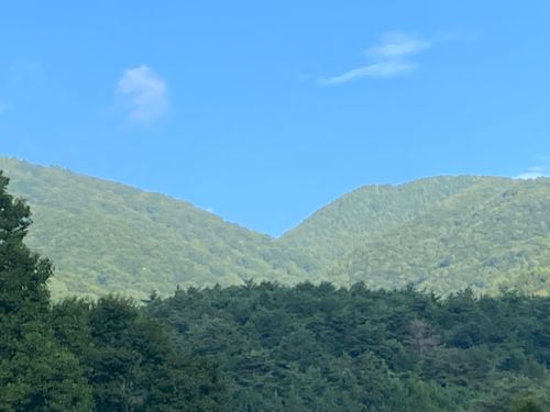 8月キャンプin長野2泊3日② 駒ヶ根高原家族旅行村アルプスの丘 ファミリーキャンプ 区画サイト boorishcamperさんのキャンプブログ CAMPiii(キャンピー) -キャンプ専用SNS キャンプのすべてがここに集まる-