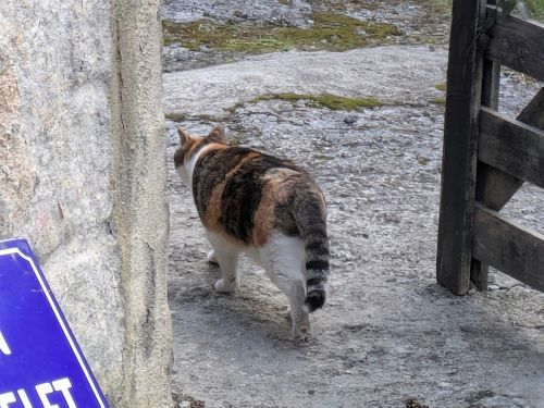 CAMPiii（キャンピー） ぞのさんさんのキャンプブログ 今年初のお泊まりキャンプ 亀岡市