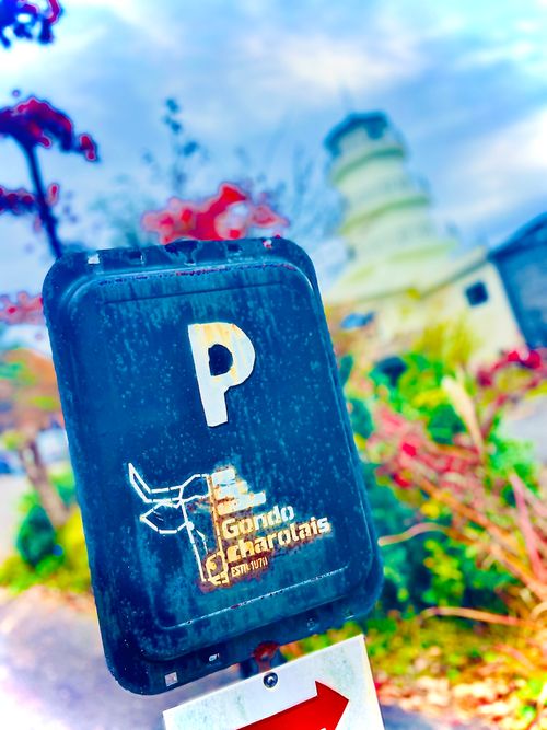 念願だった初・阿蘇(熊本)の秋を楽しむおじおばうさキャン△ in ゴンドーシャロレー 〜 CAMP NO.163 ゴンドーシャロレー ファミリーキャンプ グループキャンプ 区画サイト おじキャン△さんのキャンプブログ CAMPiii（キャンピー） -キャンプ専用SNS キャンプのすべてがここに集まる-