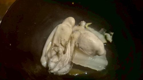 今年初キャンプは、毎年恒例の、とんどキャンプ🏕️ 岩国市二鹿野外活動センター Kurikko-tomoさんのキャンプブログ CAMPiii（キャンピー） -キャンプ専用SNS キャンプのすべてがここに集まる-