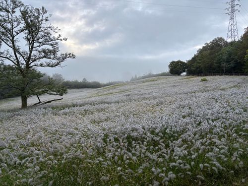 2泊3日の高原キャンプ 旭高原元気村 ファミリーキャンプ 区画サイト まつけんさんのキャンプブログ CAMPiii（キャンピー） -キャンプ専用SNS キャンプのすべてがここに集まる-