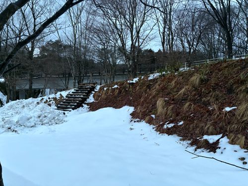 初るぽぽの森〜雪中〜 るぽぽの森 （るぽぽかわさき＆笹谷オートキャンプ場） ソロキャンプ 区画サイト オートサイト ぱぱちょさんのキャンプブログ CAMPiii（キャンピー） -キャンプ専用SNS キャンプのすべてがここに集まる-